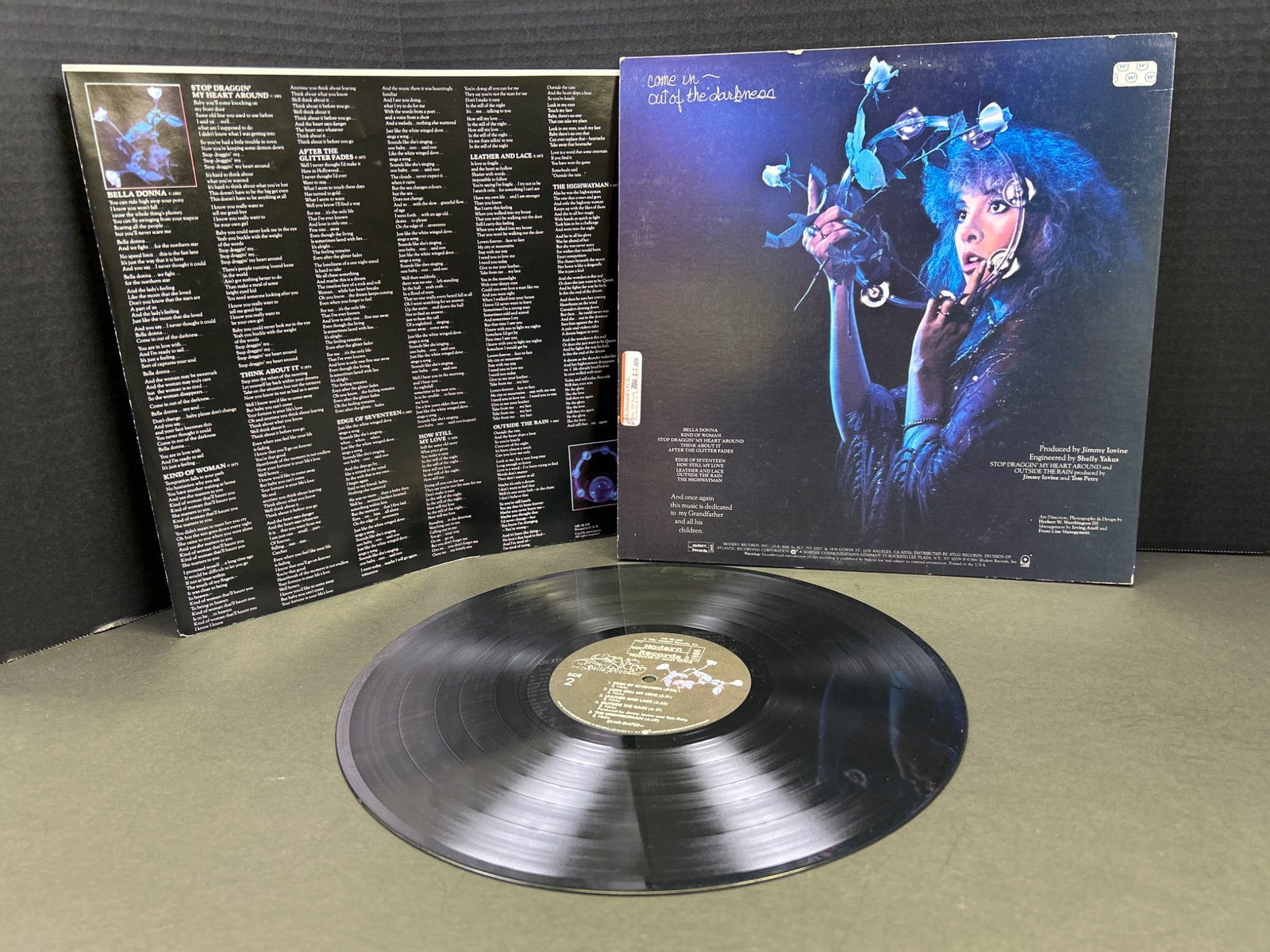 Stevie Nicks Vinyl Record Album Set: Bella Donna (1981) and The Wild Heart (1983) - 2