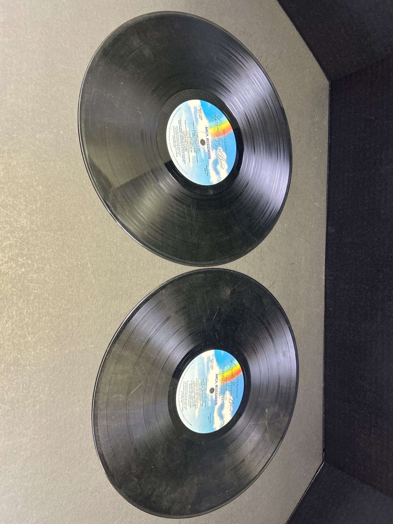 Lynyrd Skynyrd Gold & Platinum Double Vinyl LP Set with Gatefold Cover - 2