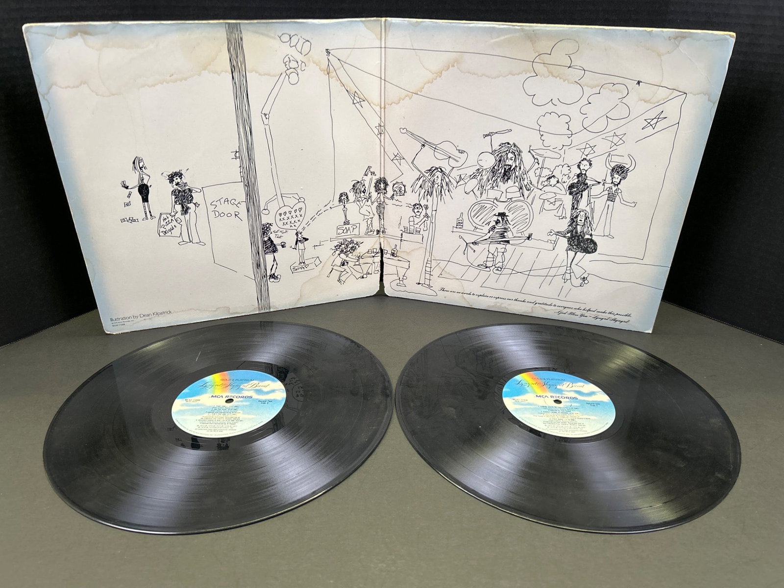 Lynyrd Skynyrd Gold & Platinum Double Vinyl LP Set with Gatefold Cover - 3