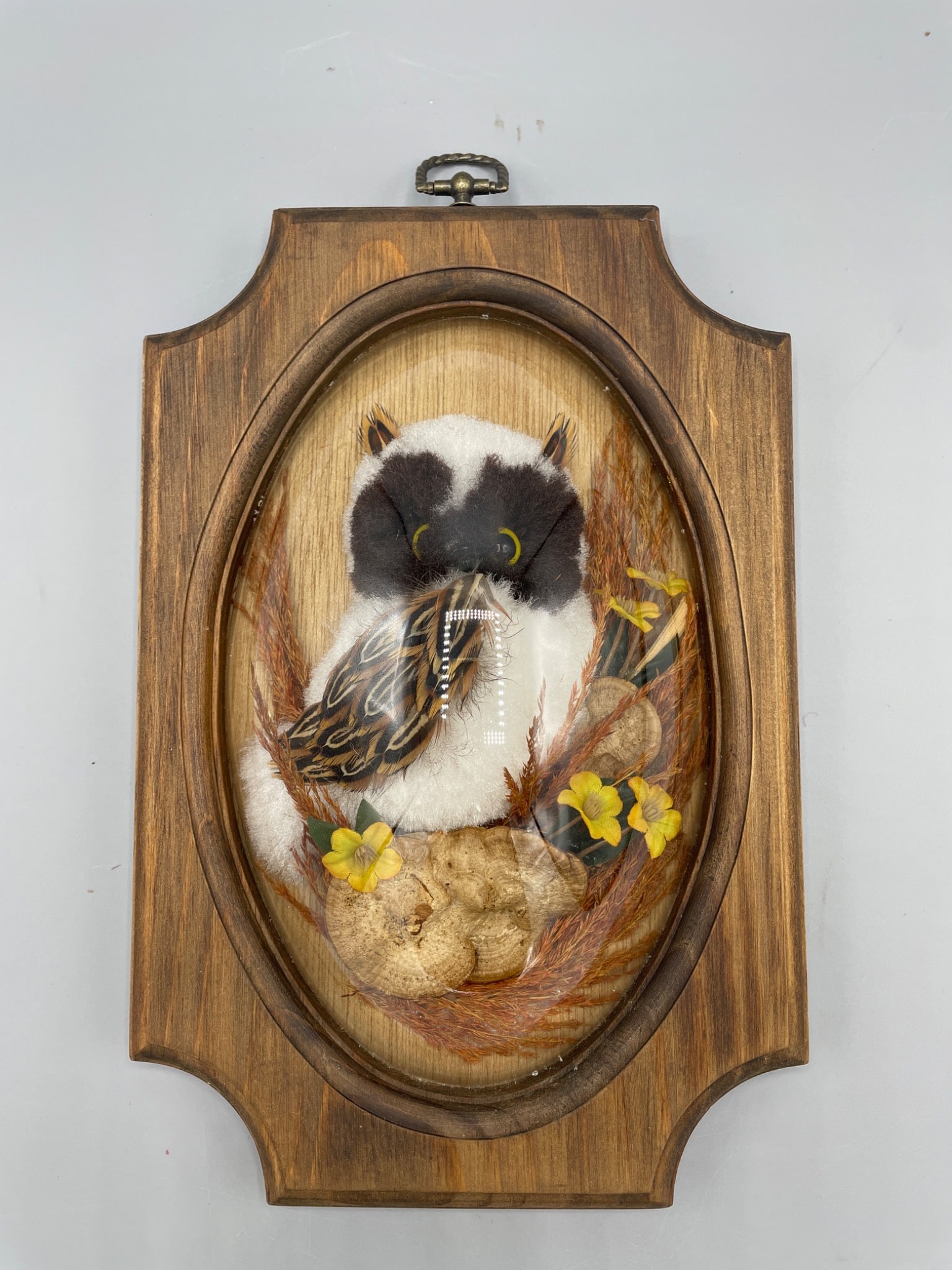 Framed Decorative Bird Diorama Under Glass Dome with Wood Backing: Framed diorama featuring a crafted bird set under a glass dome within a wood backing. Includes decorative elements such as feathers, artificial flowers, and textured ground cover. Measures