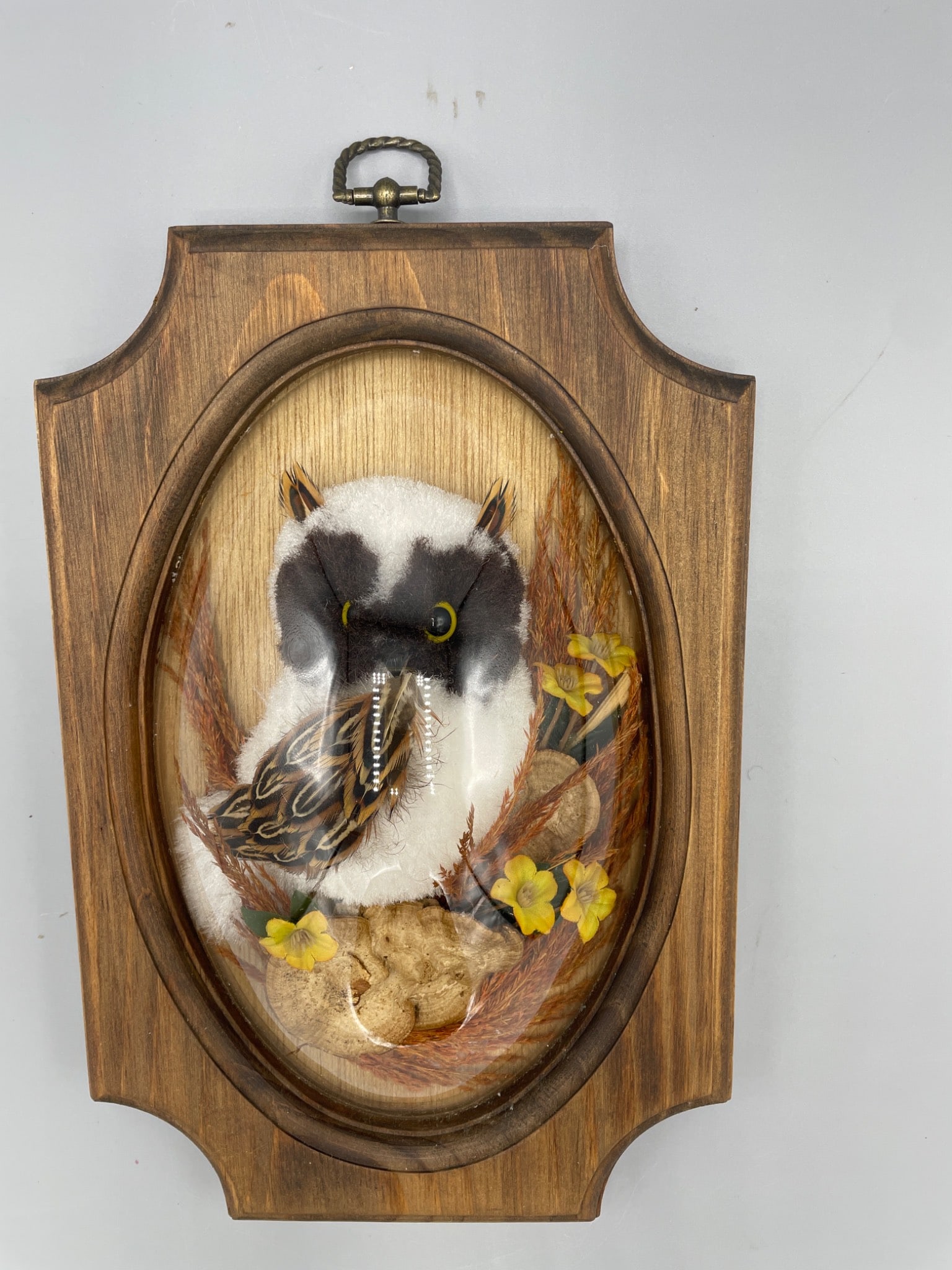 Framed Decorative Bird Diorama Under Glass Dome with Wood Backing - 3
