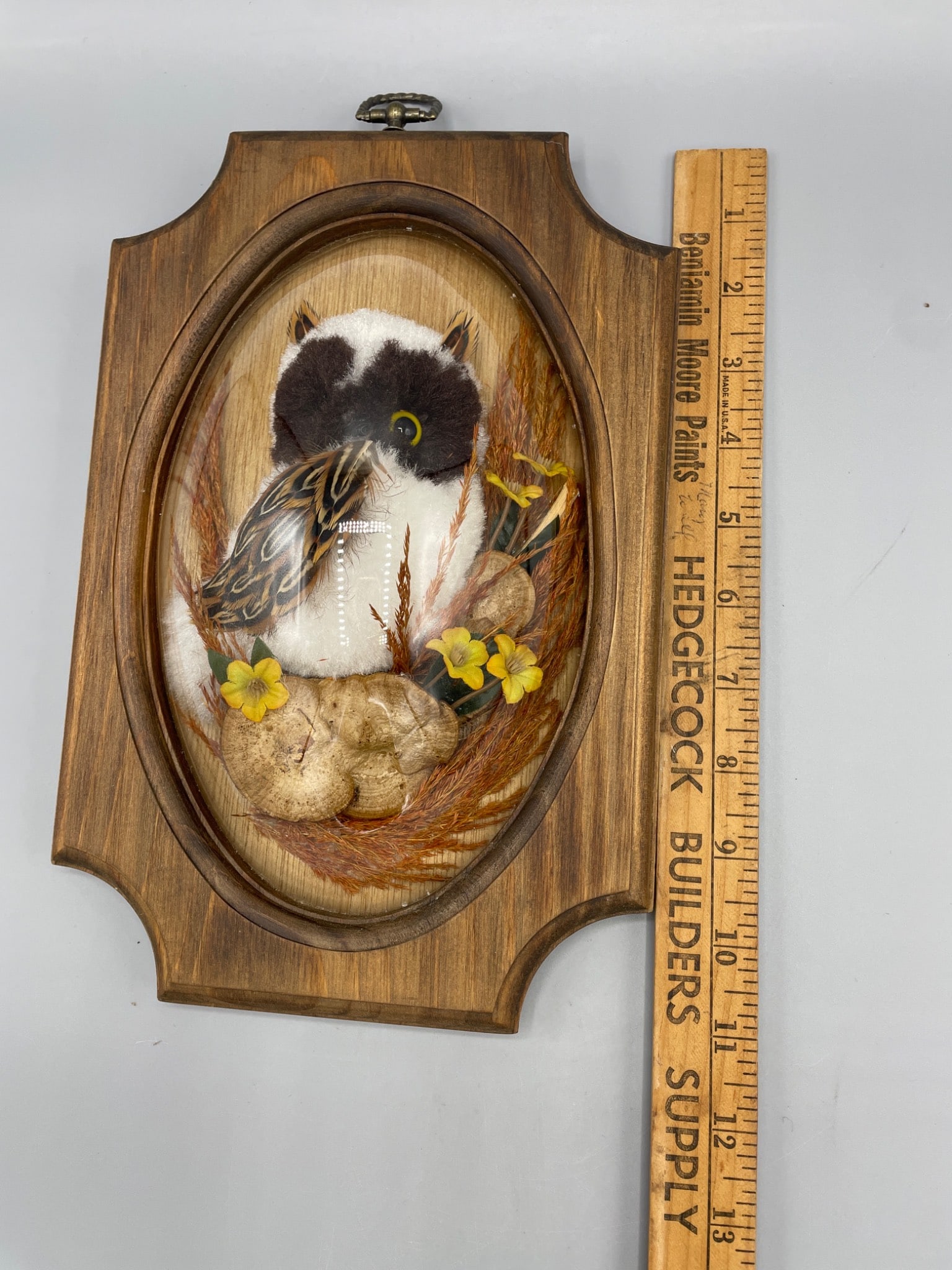 Framed Decorative Bird Diorama Under Glass Dome with Wood Backing - 5