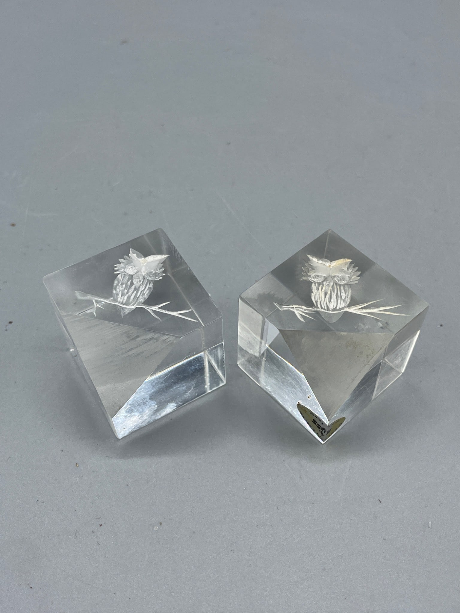 Glass Paperweights With Etched Owl Design - 4