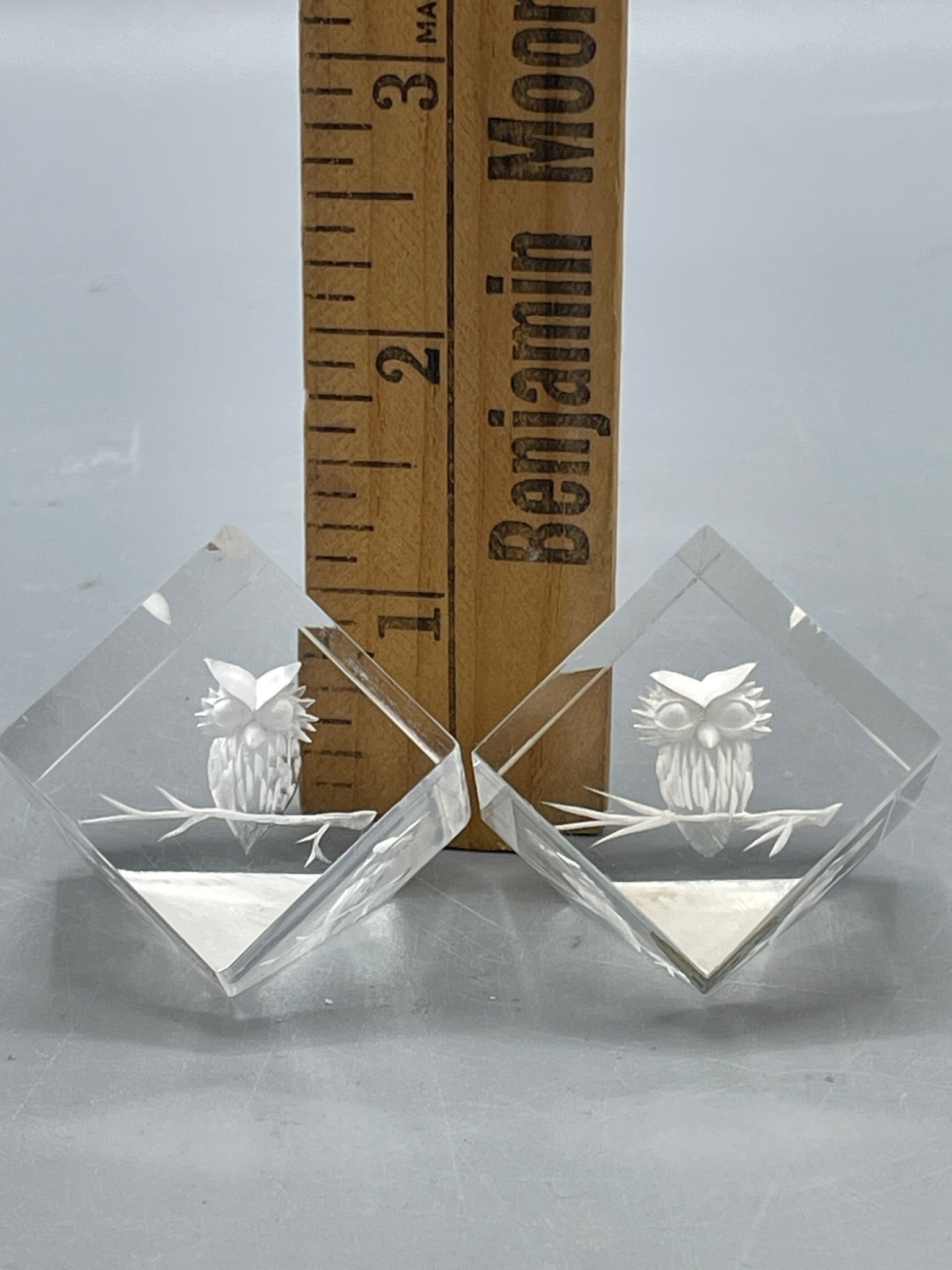 Glass Paperweights With Etched Owl Design - 5