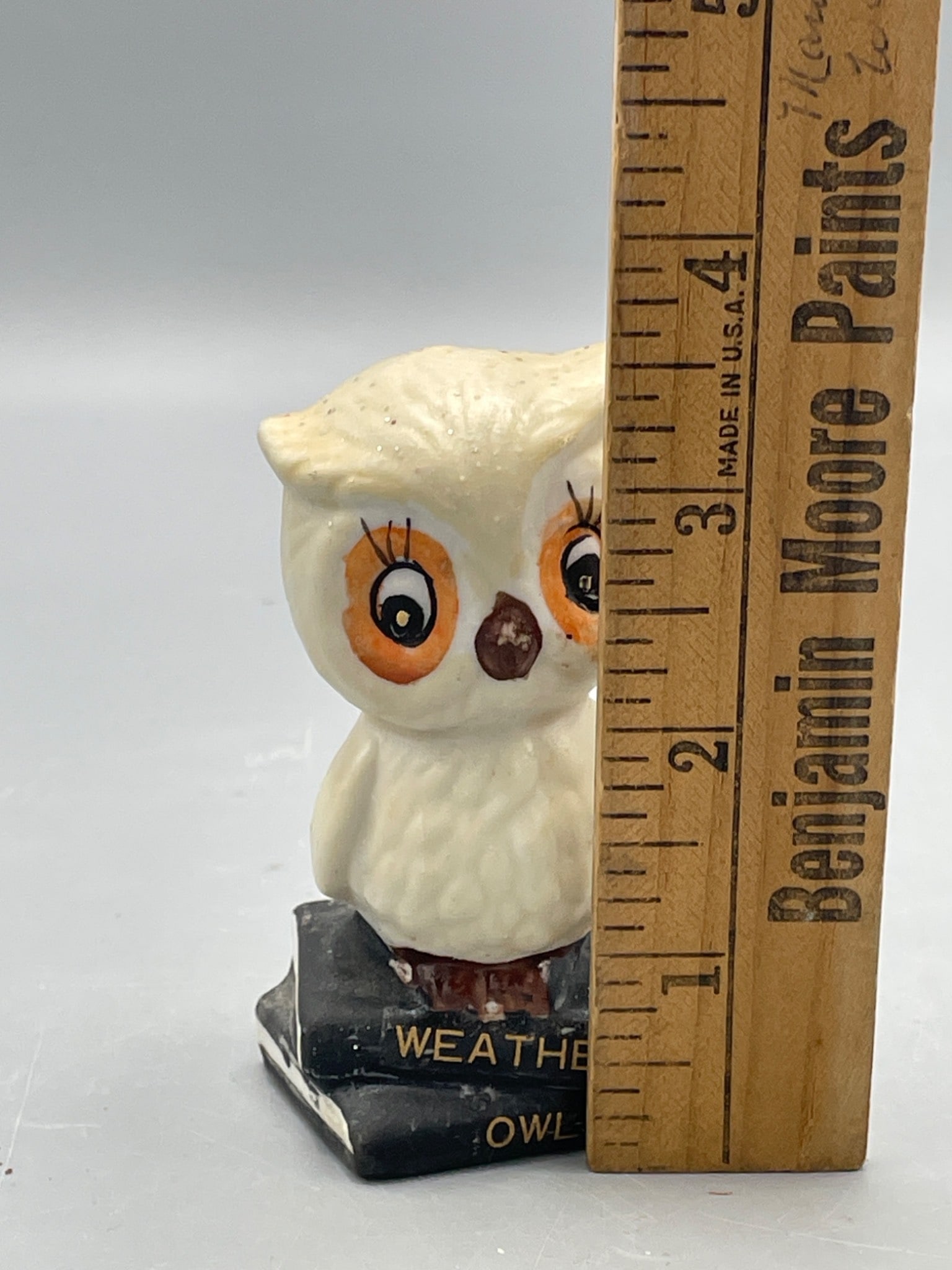 Ceramic Owl Figurine Labeled 'Weather Owl' with Base Opening - 5