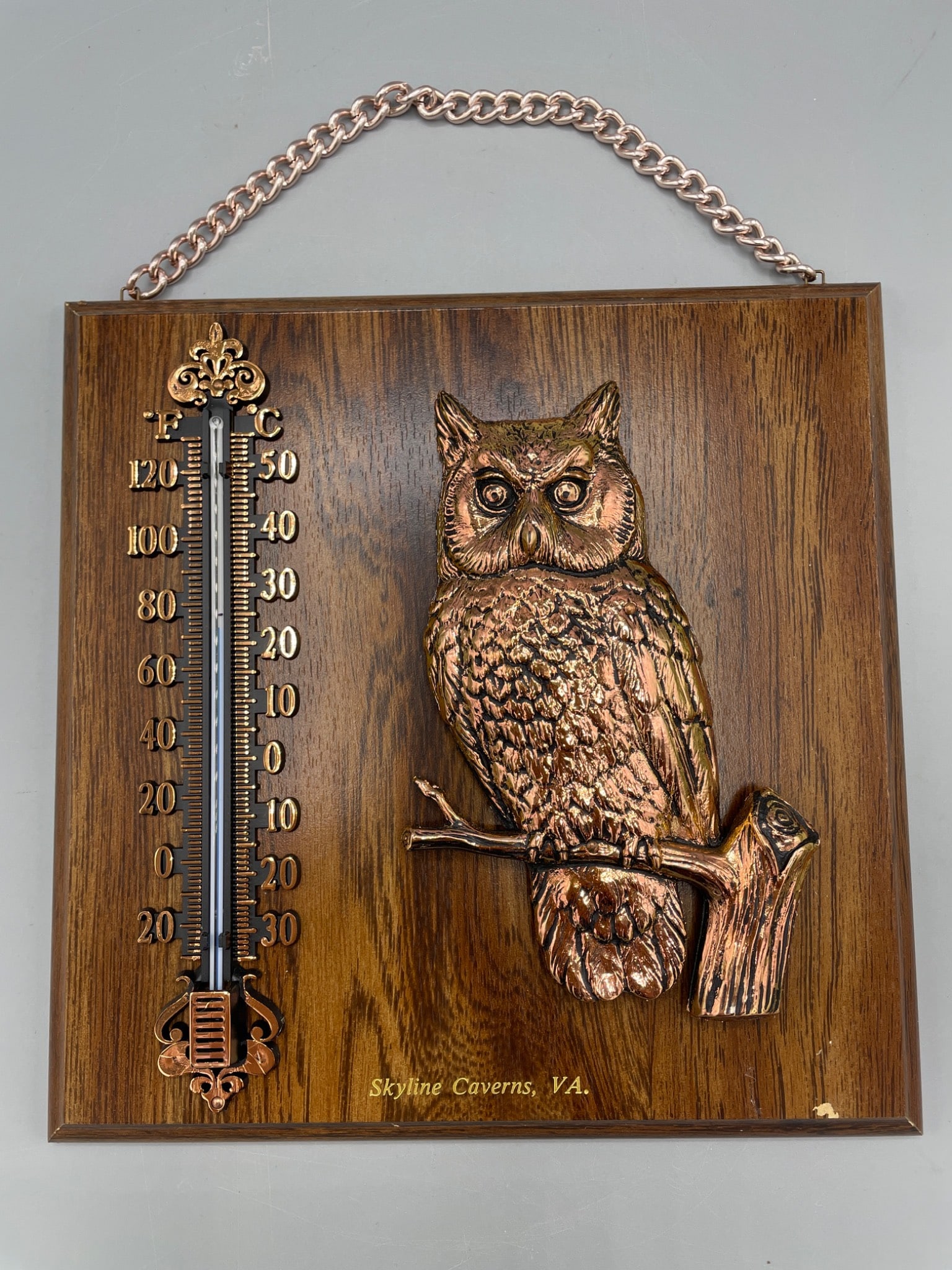 Wooden Temperature Gauge Plaque Featuring Owl Design and Skyline Caverns VA Inscription - 4