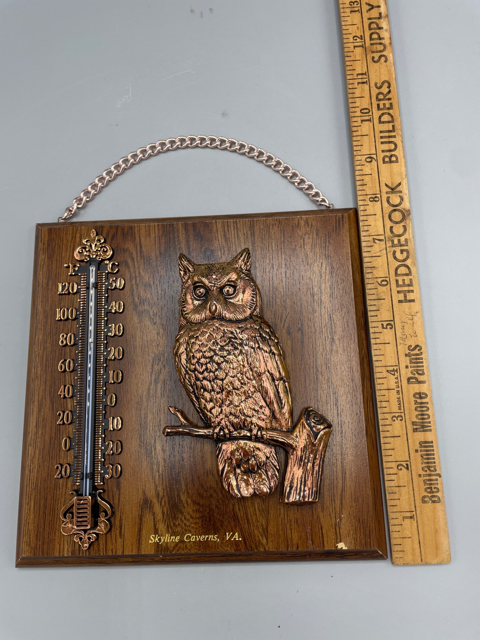 Wooden Temperature Gauge Plaque Featuring Owl Design and Skyline Caverns VA Inscription - 5