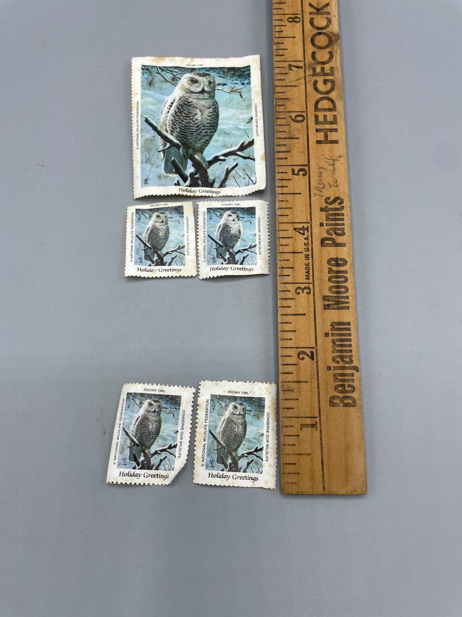 5 Postage Stamps Featuring Snowy Owl Illustration - 2