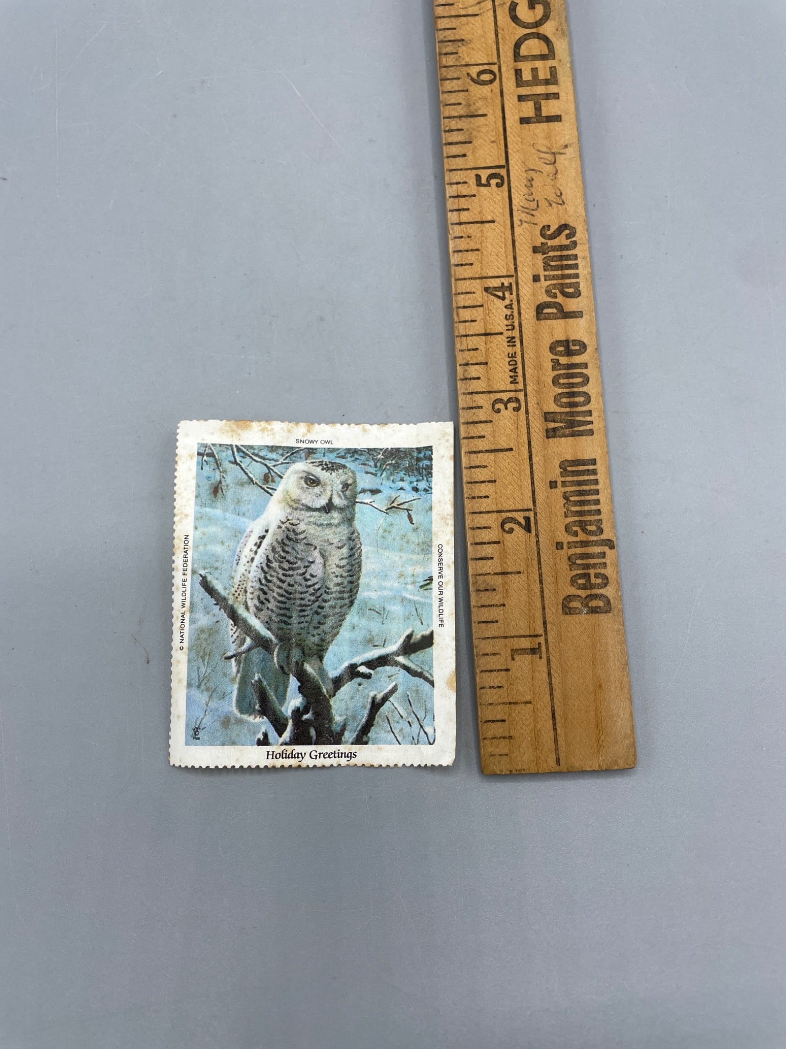 5 Postage Stamps Featuring Snowy Owl Illustration - 3