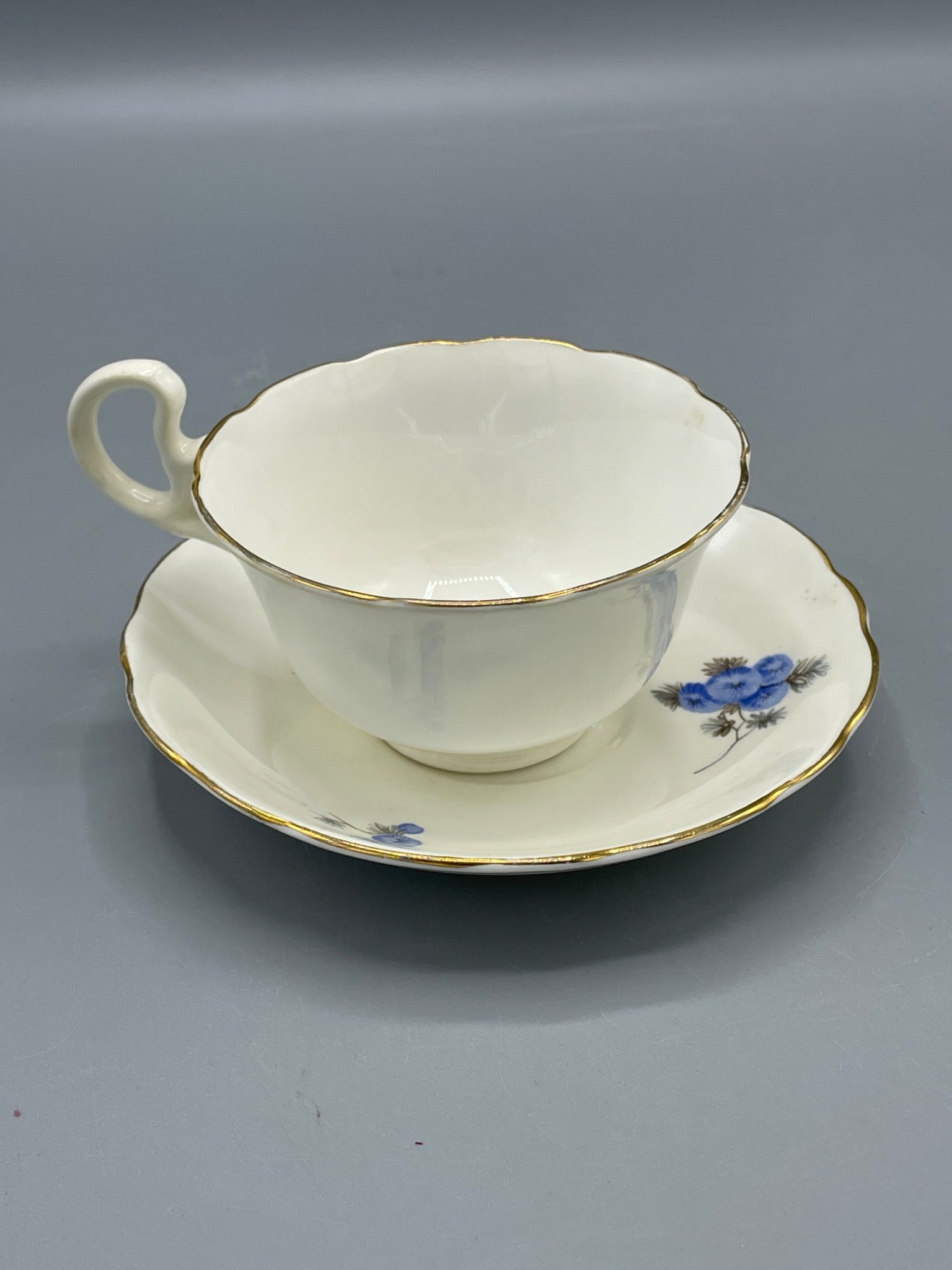 Radfords Bone China Cup and Saucer - Made in England - 2