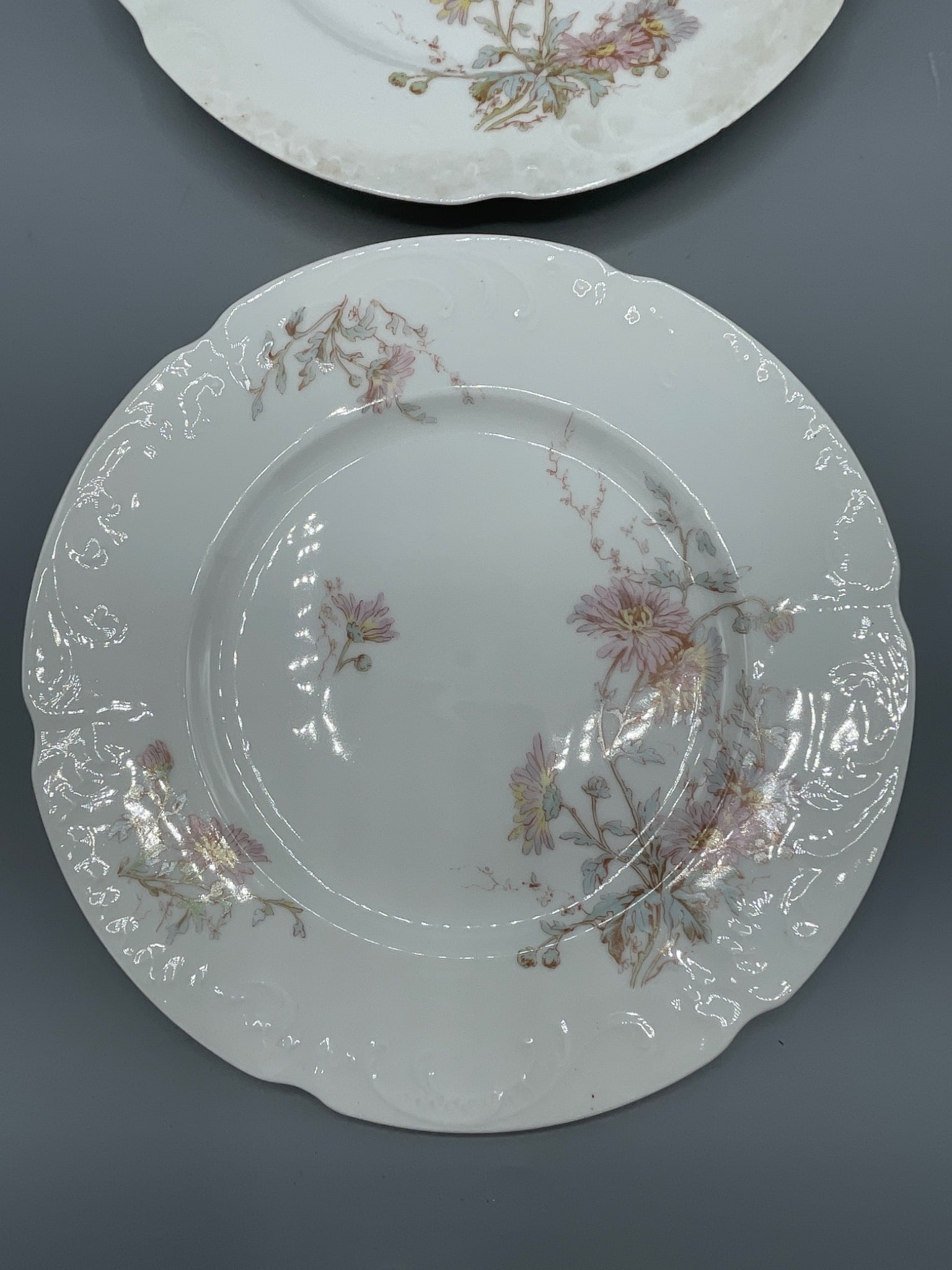 R. Delinieres & Co. Limoges D&C France Floral Plates - 2