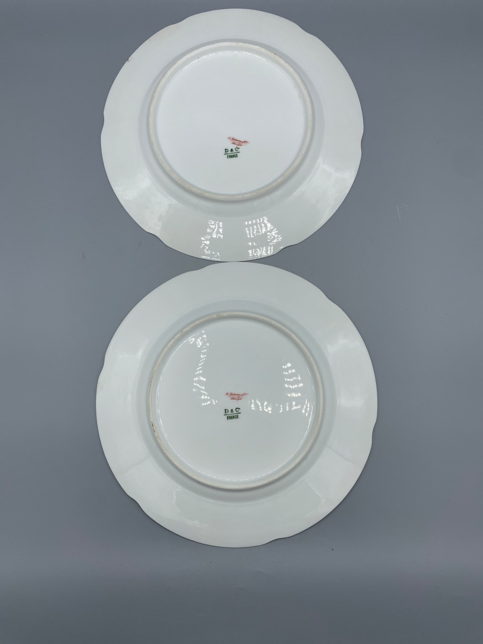 R. Delinieres & Co. Limoges D&C France Floral Plates - 3