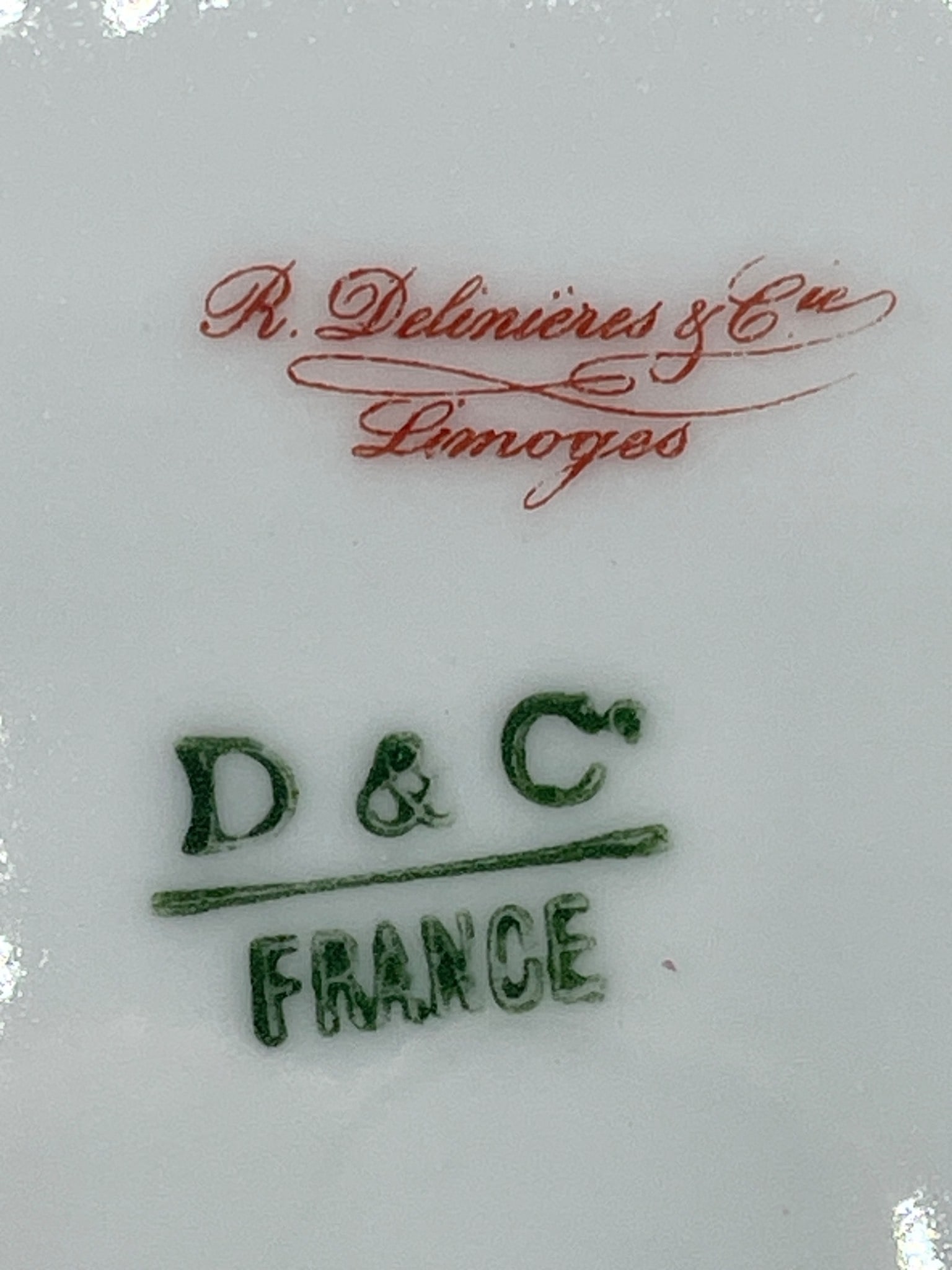 R. Delinieres & Co. Limoges D&C France Floral Plates - 4