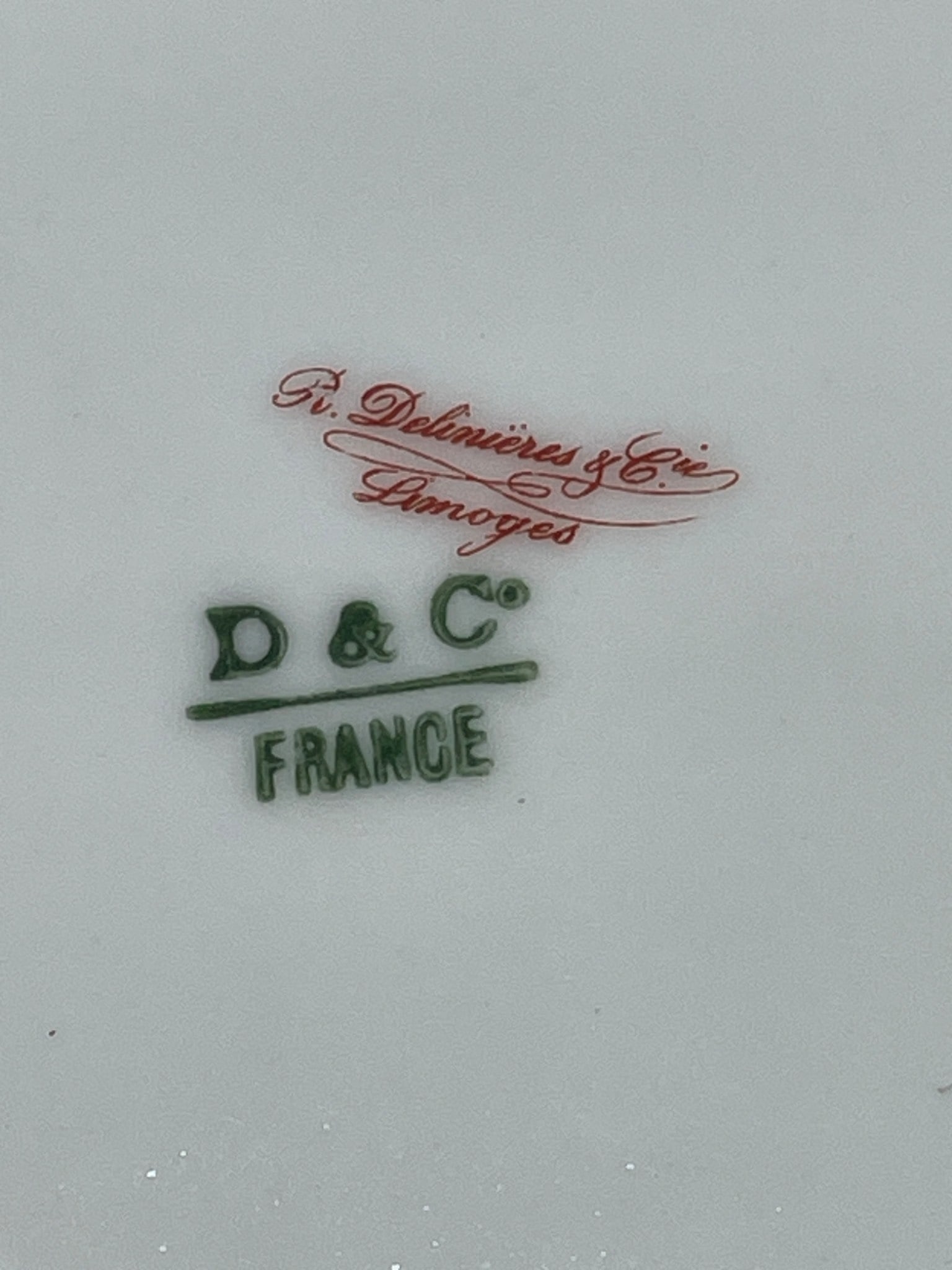 R. Delinieres & Co. Limoges D&C France Floral Plates - 5
