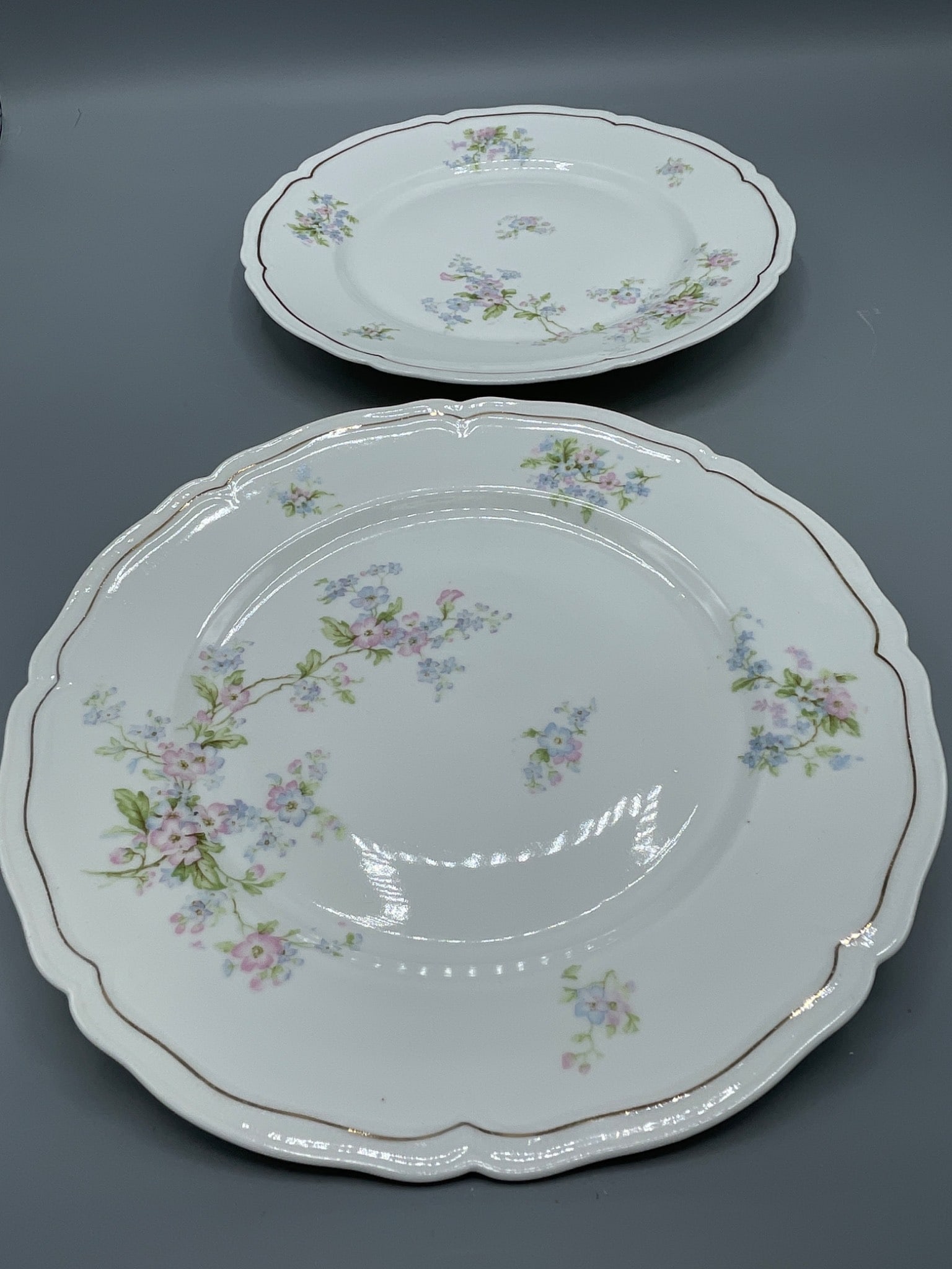 Vienna Austria Porcelain Plates with Floral Patterns - 2