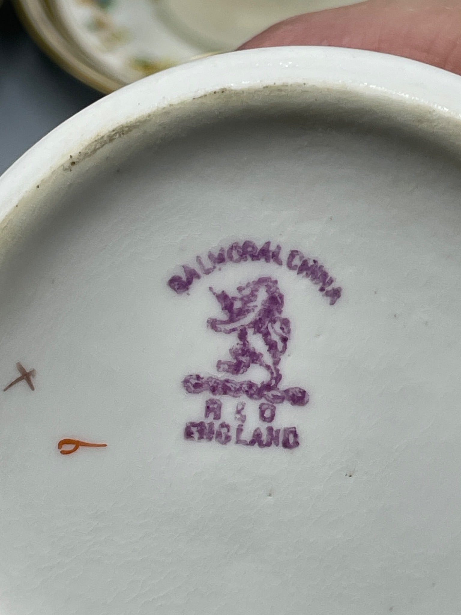 9 Cups with 12 Saucers, Balmoral China R&D England - 7