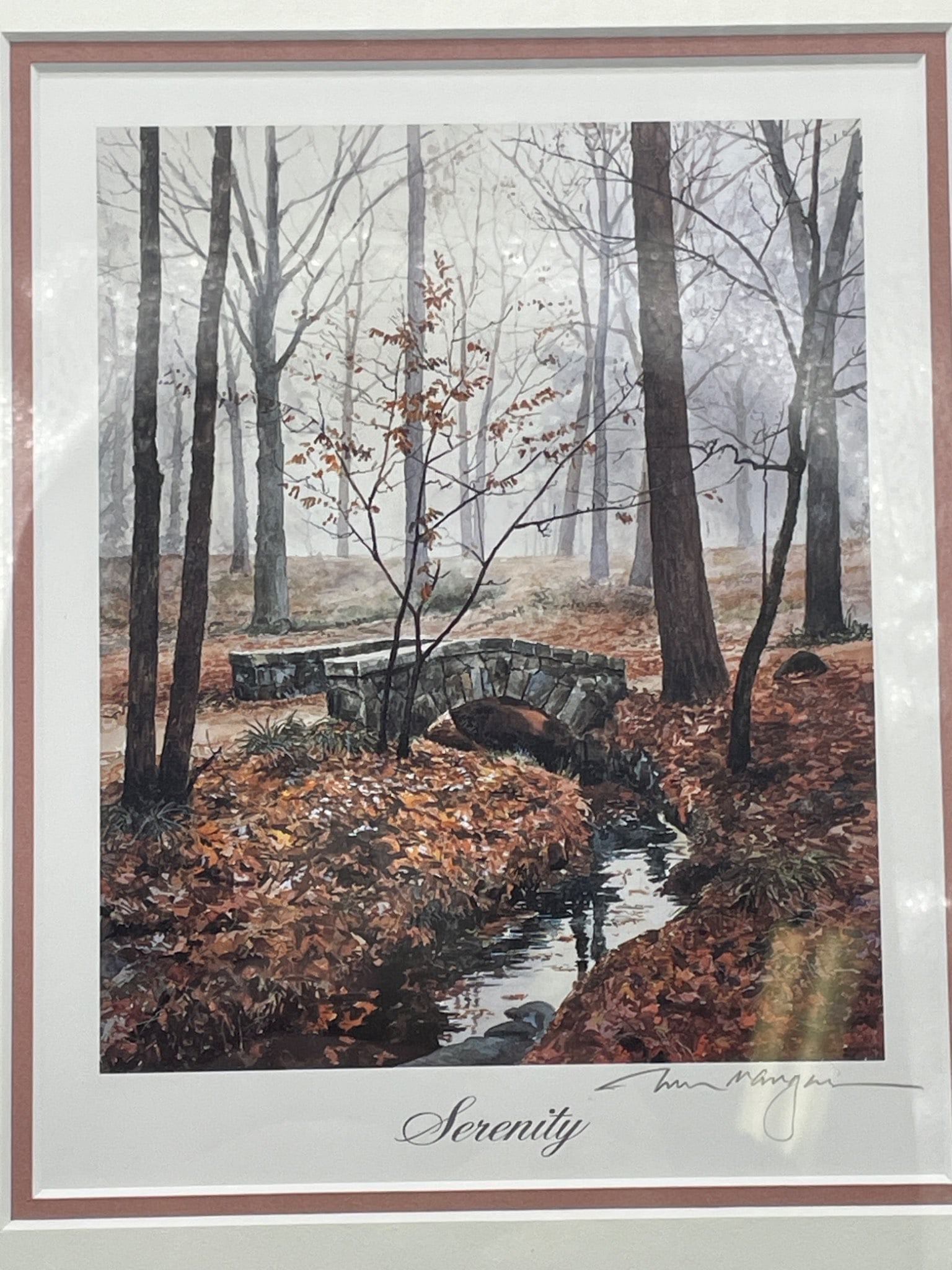 Framed Print â€˜Serenityâ€™ by William Mangum With Artist Biography - 2