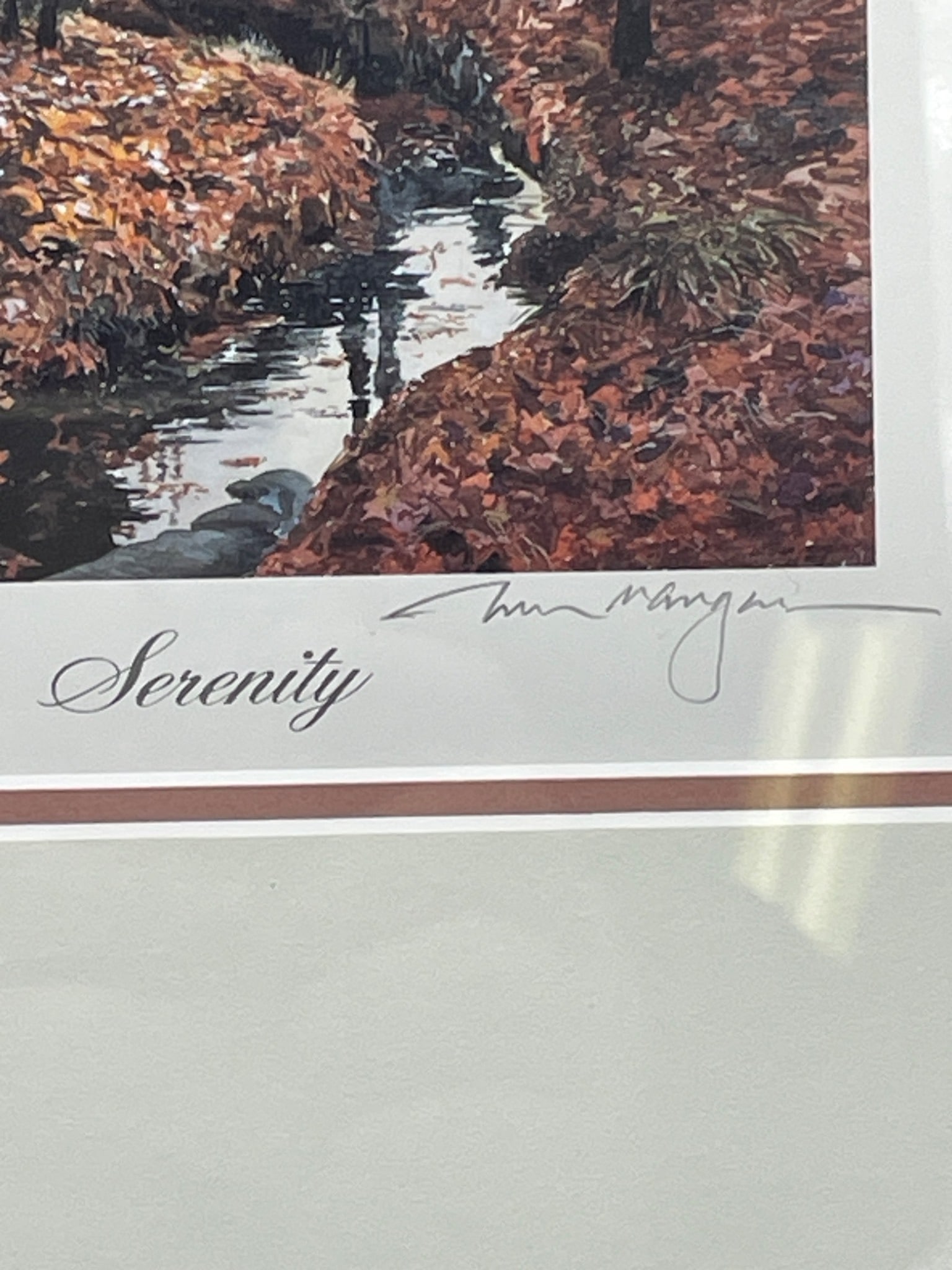 Framed Print â€˜Serenityâ€™ by William Mangum With Artist Biography - 3
