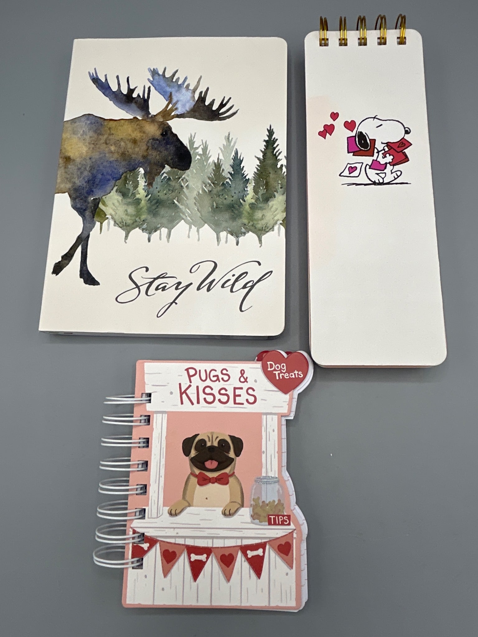 3 Notebooks Featuring Punch Studio, Graphique, and Spiral Design (1 of 9)