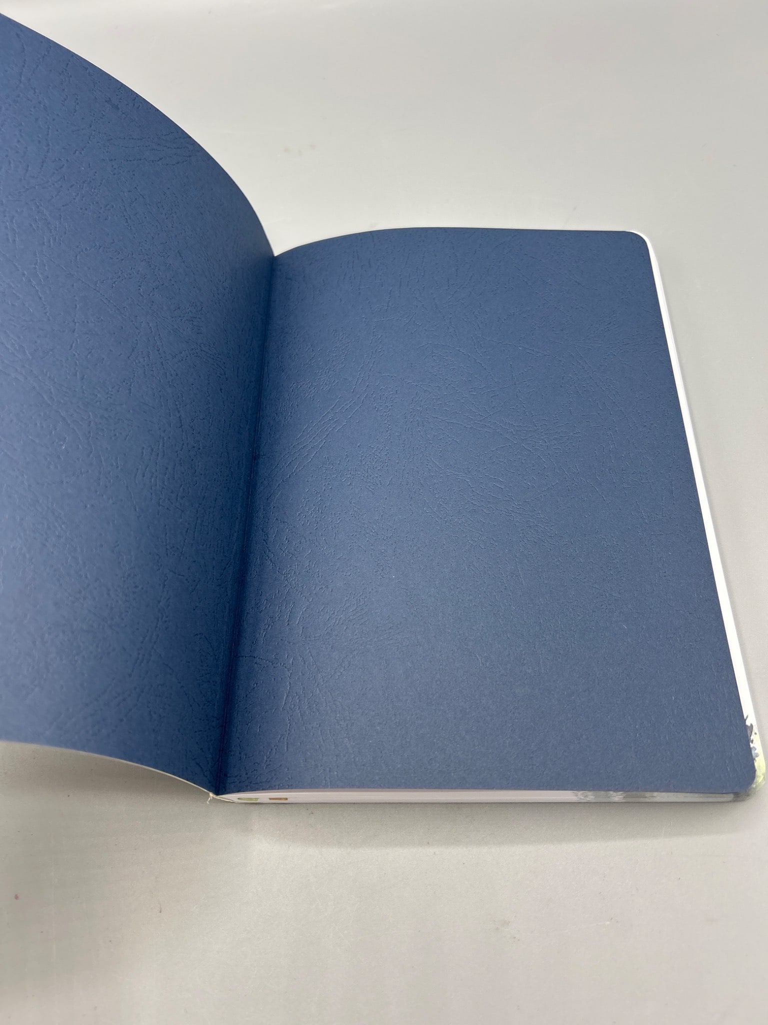 3 Notebooks Featuring Punch Studio, Graphique, and Spiral Design - 8