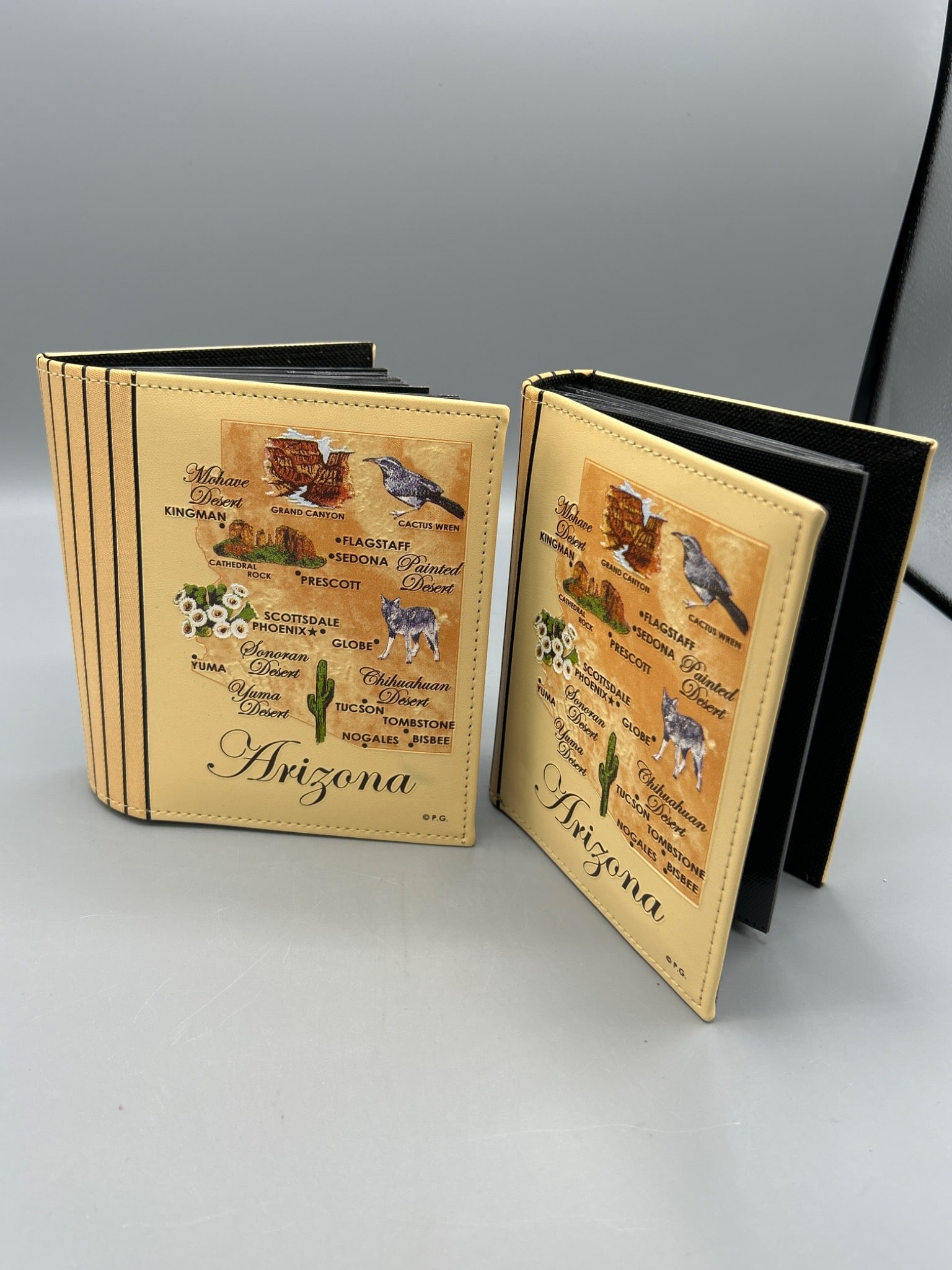 Arizona-Themed Photo Albums with Decorative Covers and Plastic Sleeves (Set of 2) (1 of 5)