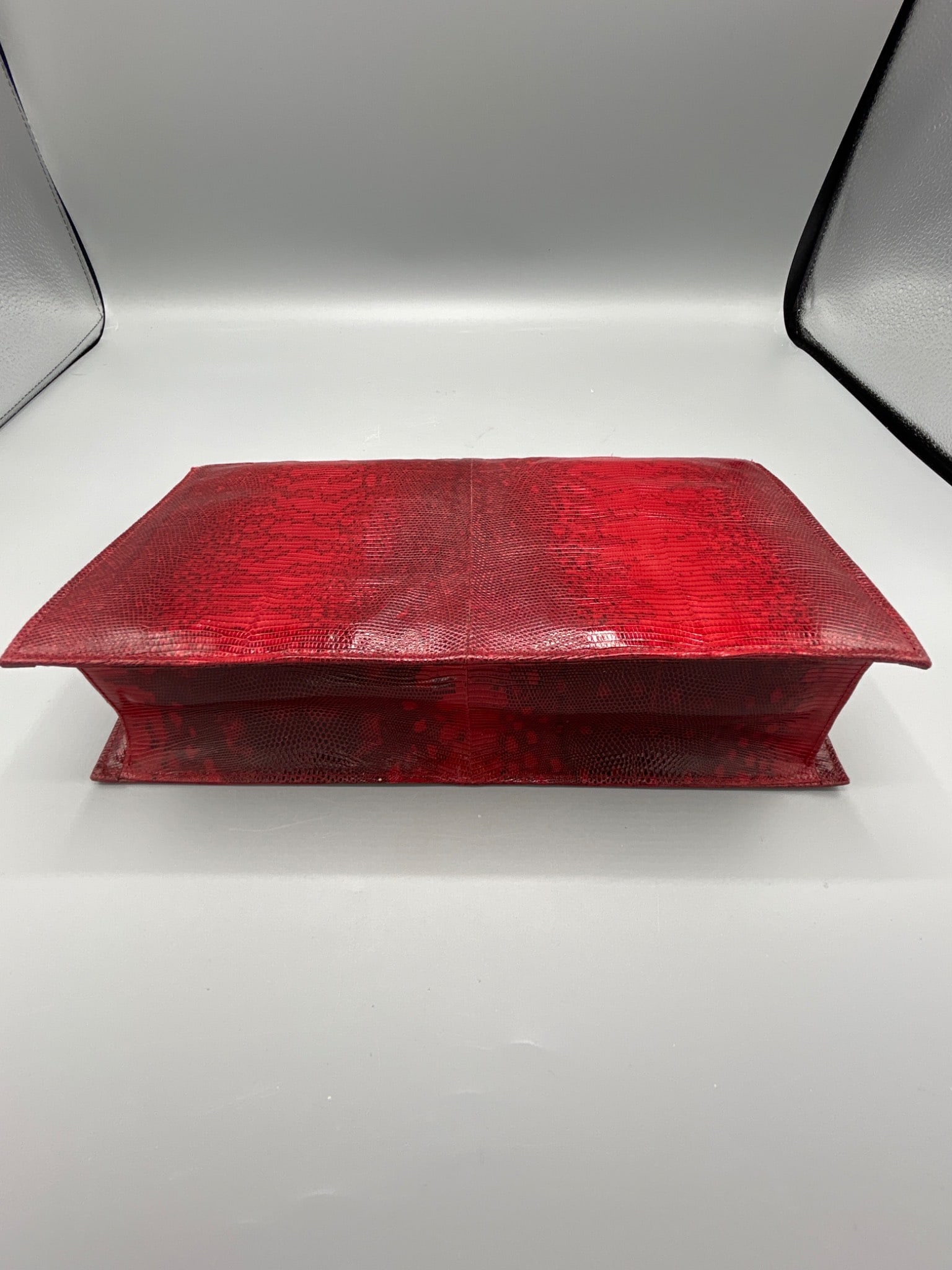 R. SaldaÃ±a House of Reptile Red Lizard Skin Clutch Bag With Accessories - 4