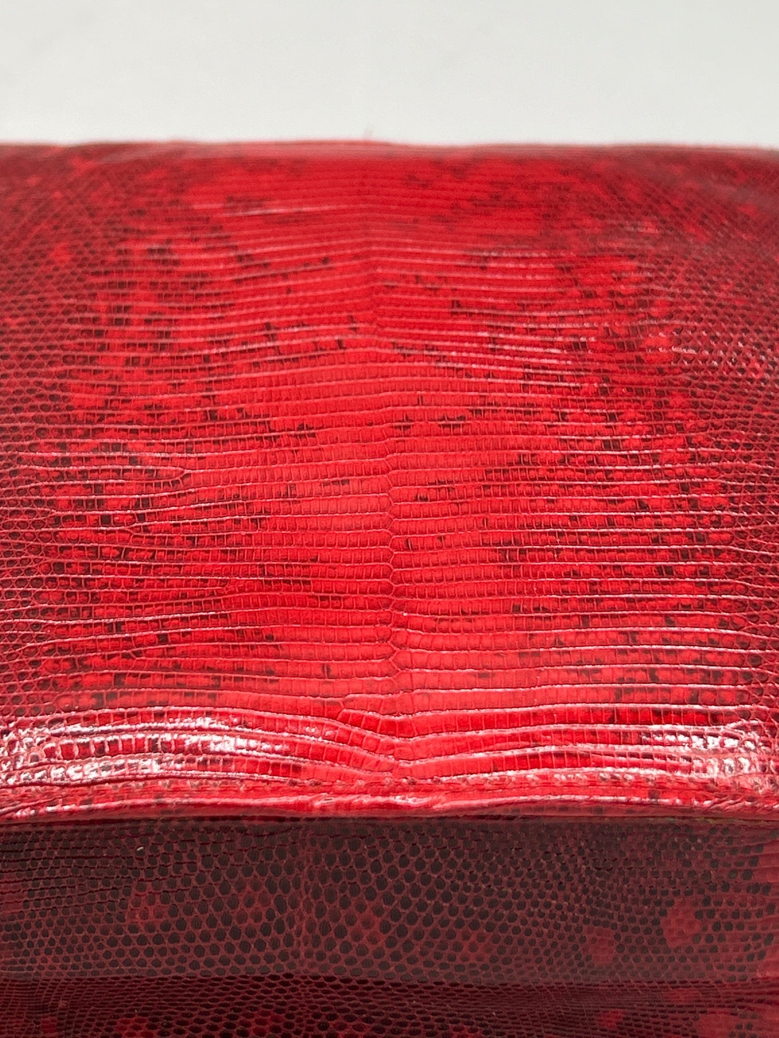R. SaldaÃ±a House of Reptile Red Lizard Skin Clutch Bag With Accessories - 5