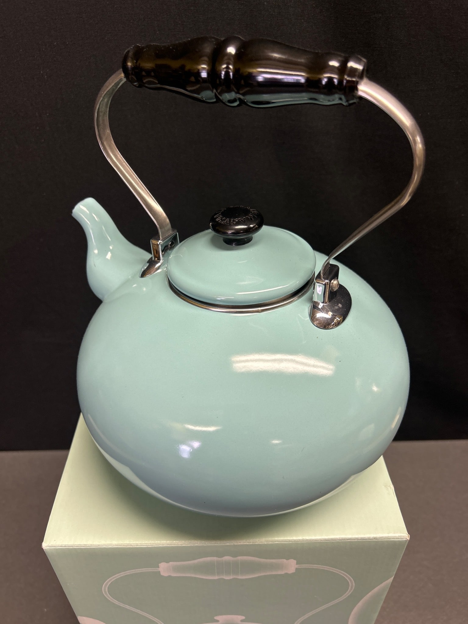 2.5 Quart Enameled Steel Teakettle in Light Blue - Martha Stewart Collection - 4