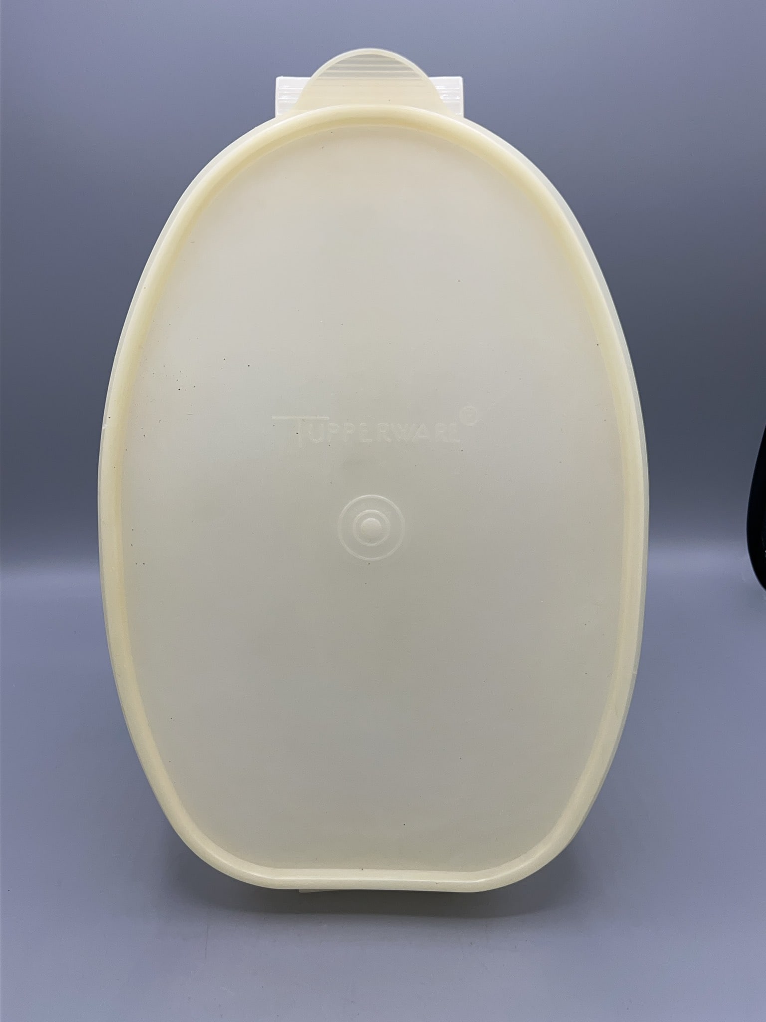Tupperware Oval Steamer with Lid and Insert: Tupperware oval steamer set, includes matching lid and removable insert tray. Made of cream-colored plastic. Measures approximately 13 inches tall. Features Tupperware logo on the lid.