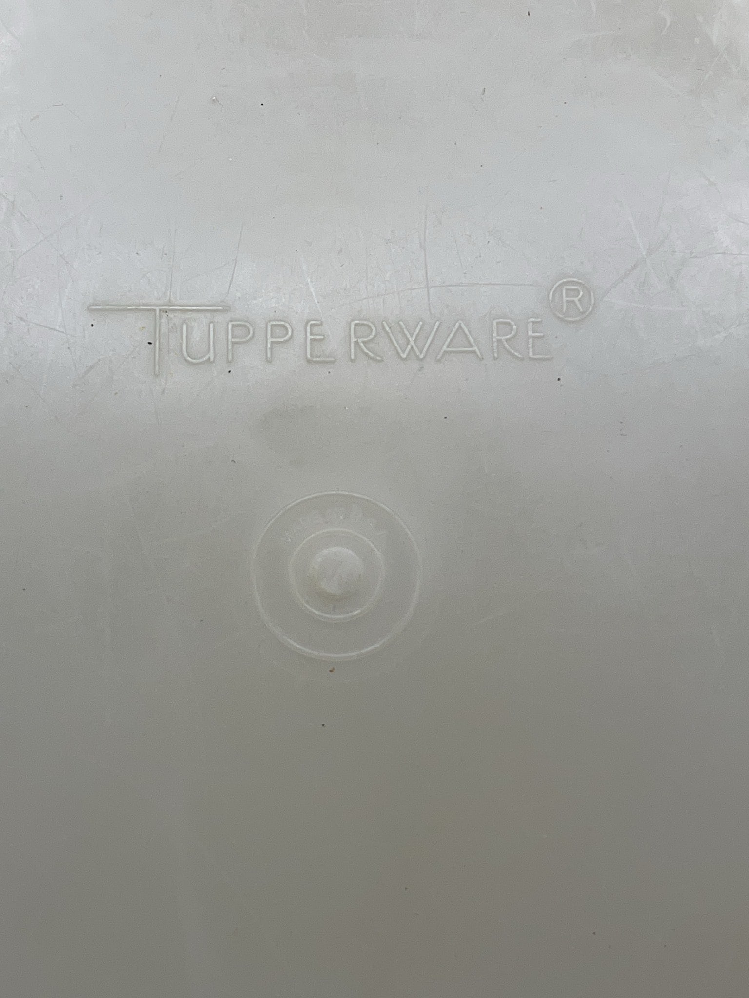 Tupperware Oval Steamer with Lid and Insert - 6