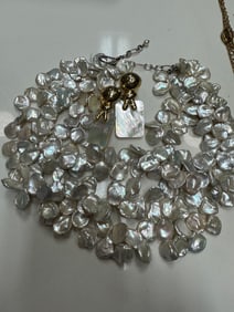 Set of Necklace and earrings