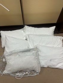 Bed Pillows