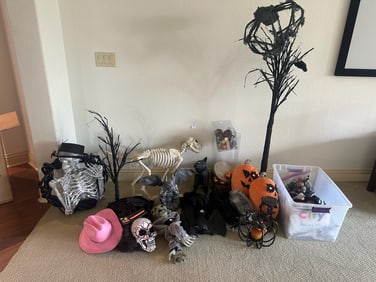 Halloween Decor Lot