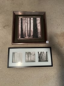 Pair of Framed Black-and-White Forest Photographs