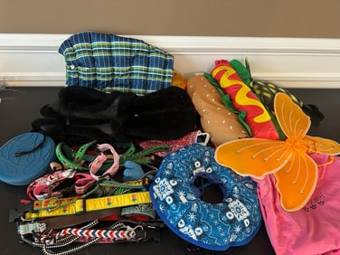 Dog Accessories & Costumes Collection