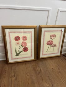 Pair of Framed Botanical Prints, Gold Rope Frames