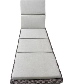 Two Adjustable Wicker Outdoor Chaise Lounge with Cushions
