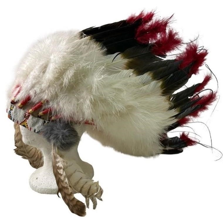 Vintage Native American War Bonnet Head Dress (1 of 4)