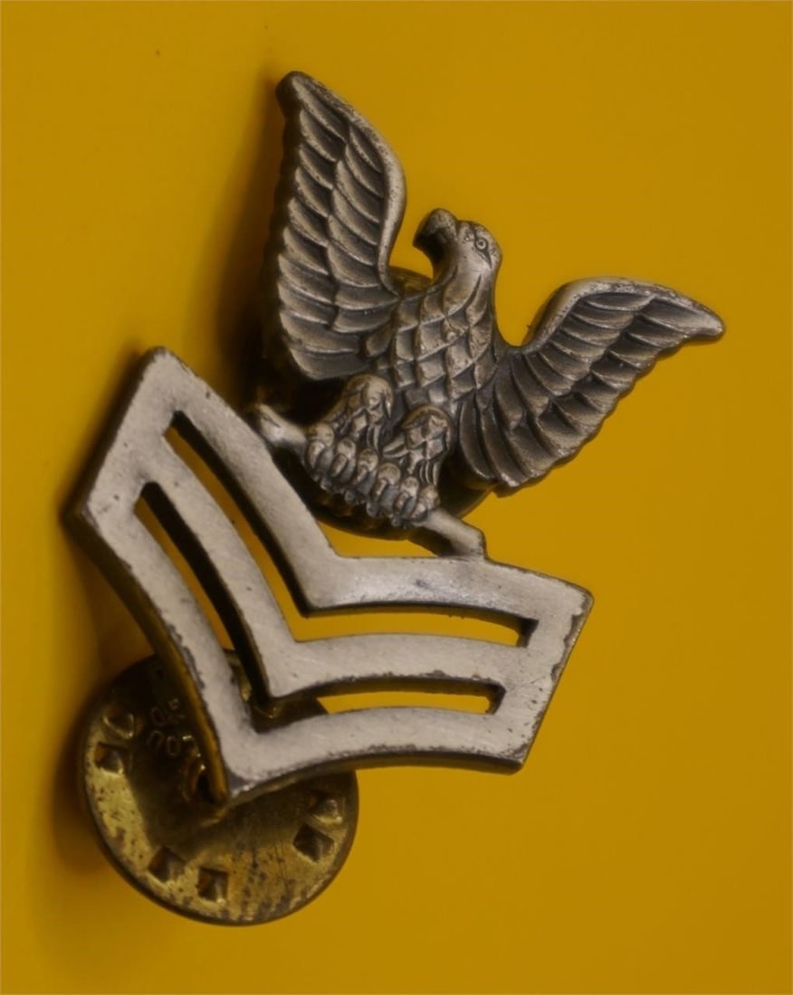 WWII US Navy PO1 E-6 Collar Insignia Pin: The insignia features an eagle with outstretched wings perched above three chevrons. It indicates the rank of Petty Officer First Class in the U.S. Navy. The pin appears to be made of a brushed or