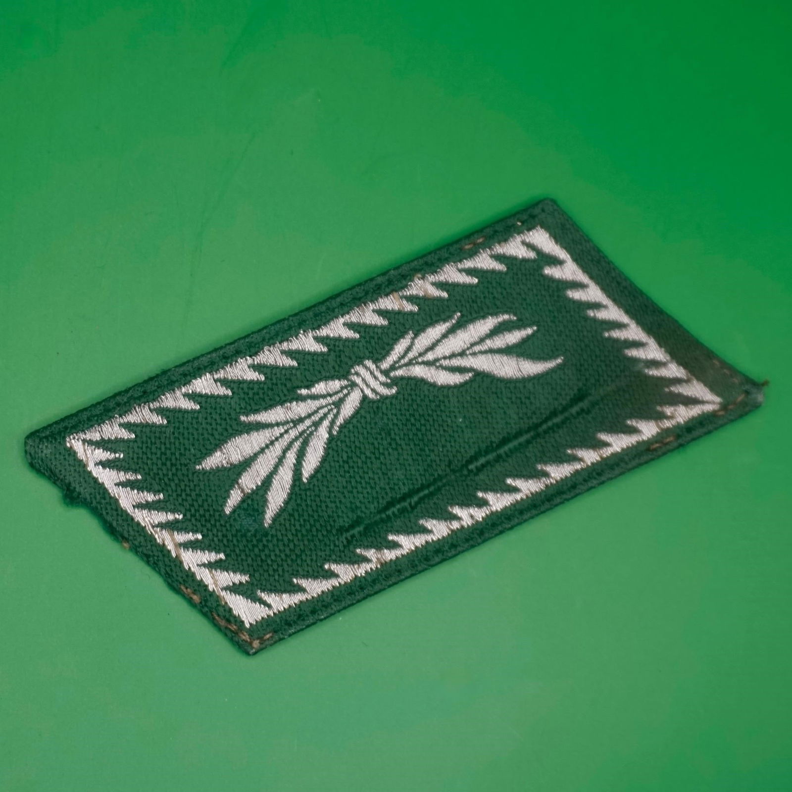 Reichsfinanzverwaltung / Zollgrenzschutz Tab: Original German Reichsfinanzverwaltung / Zollgrenzschutz collar tab, single example (one only), period piece.