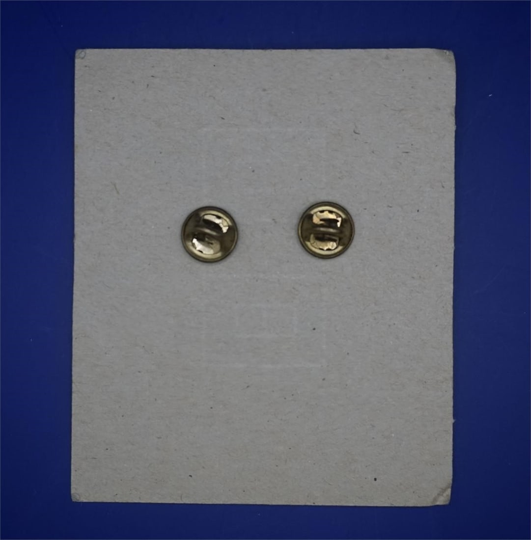 US Army Basic Flight Surgeon Badge by NS Meyer - 2