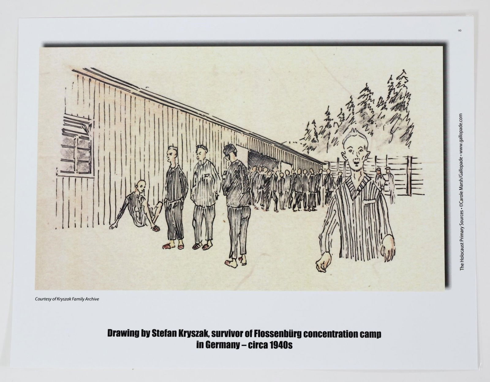 The Holocaust Primary Sources - 2