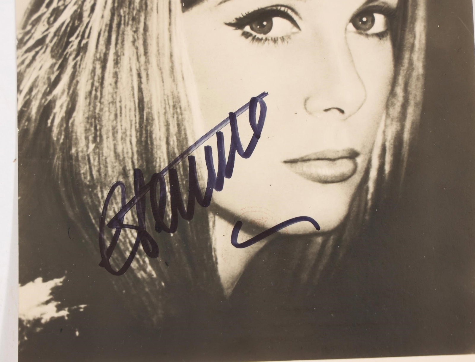 Catherine Deneuve Signed Progress Postcard - 2