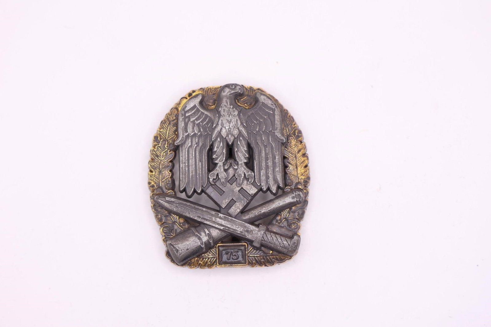 General Assault Badge 75 (1 of 2)