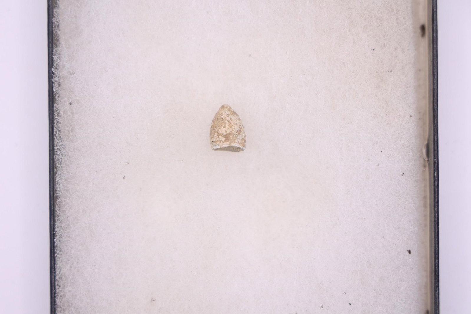Civil War Relics - 4