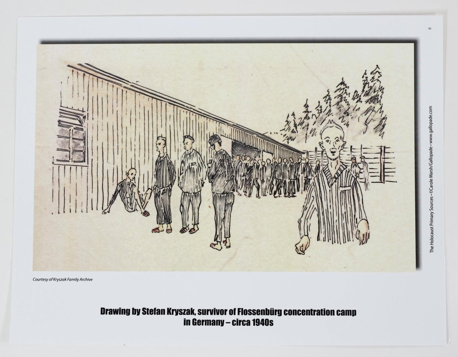 The Holocaust Primary Sources - 2