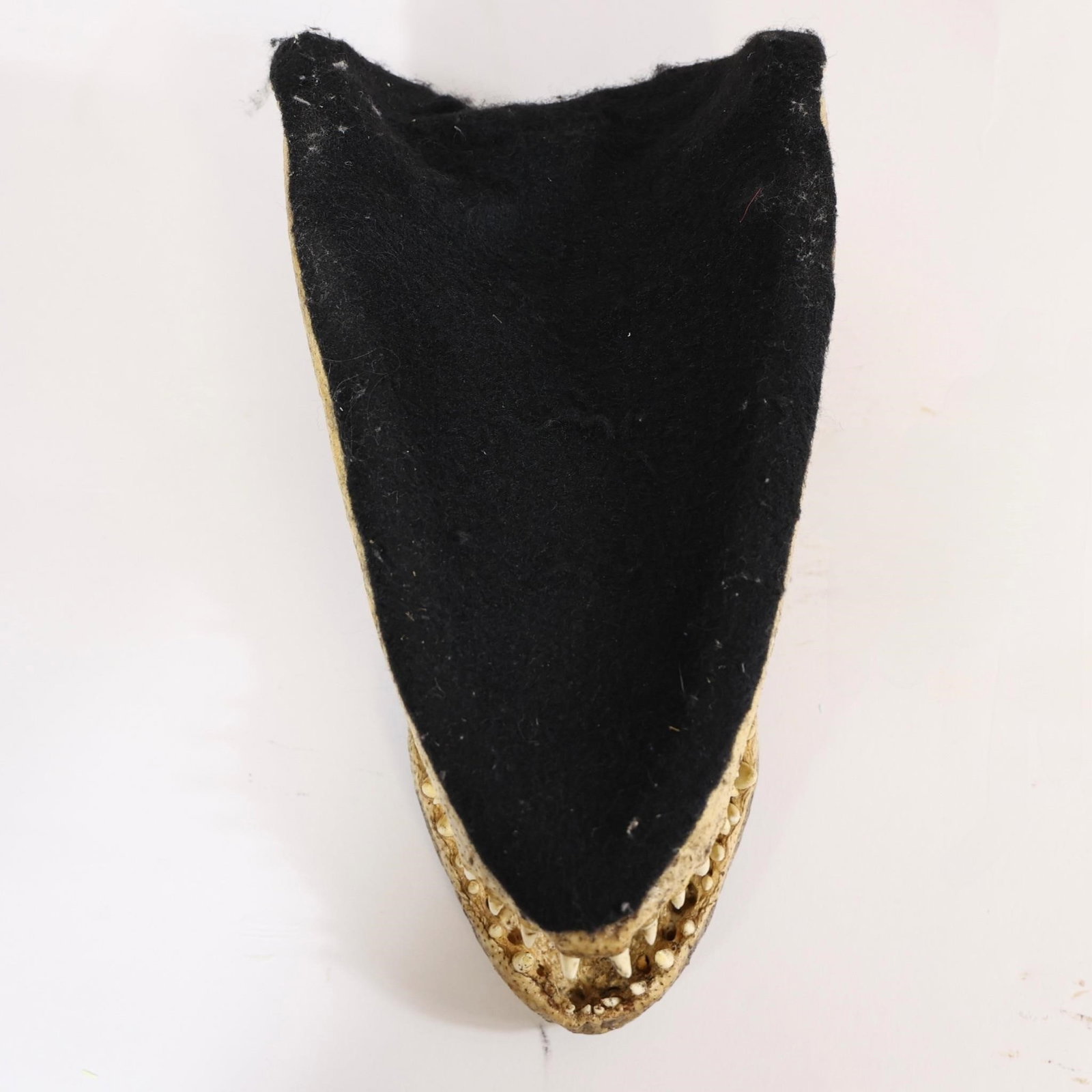 Alligator Head Mount - 11" - 4