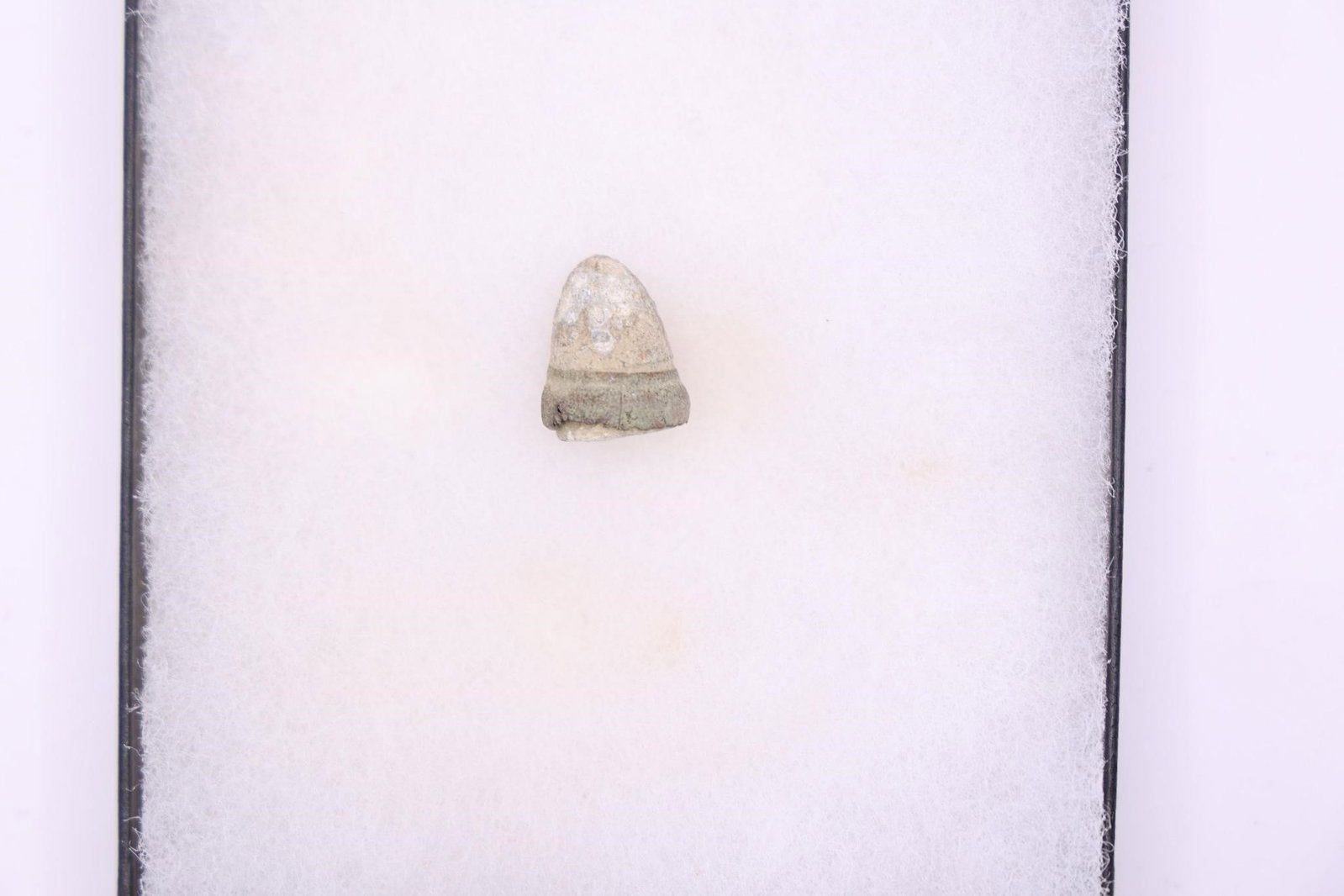 Civil War Relics - 4