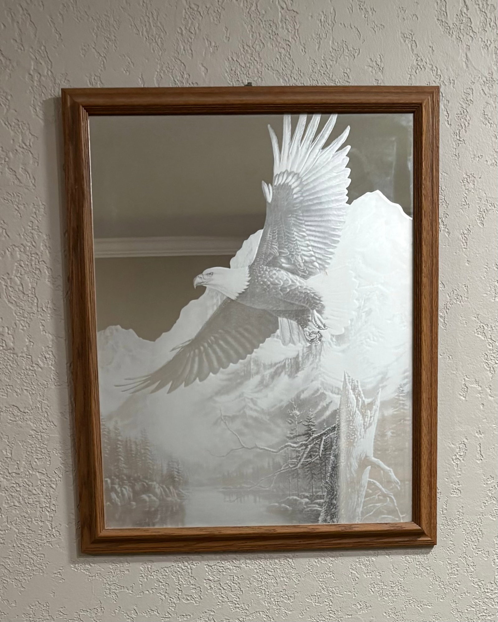 Vtg MCM Etched Glass Mirror Art, "The Promise": A vintage Mid-20th century etched glass art mirror titled "The Promise", featuring artwork of majestic American bald eagle taking flight over a river valley with snow-covered mountain peaks in the bac