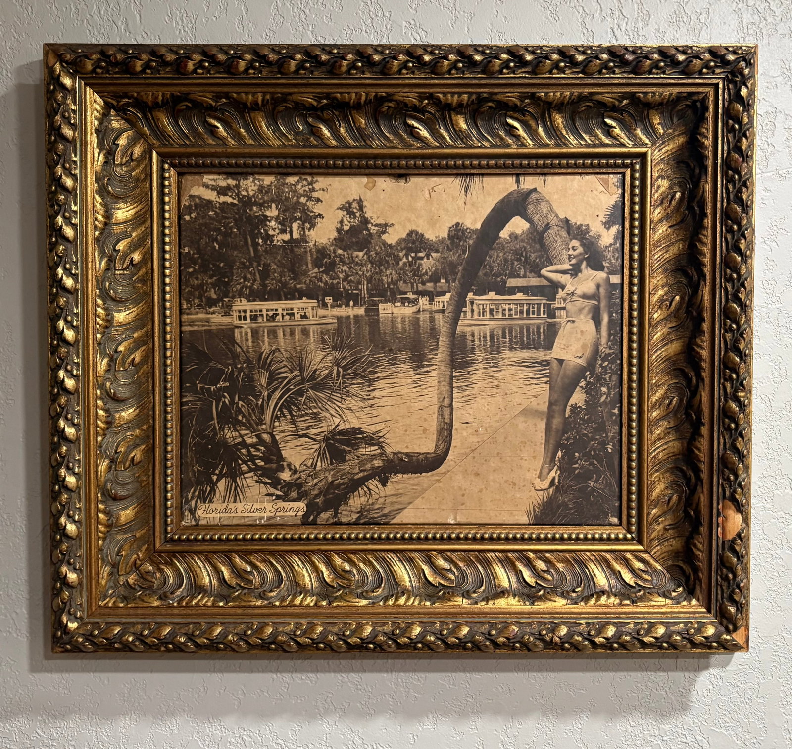 Vtg Jackie Bingham Ornately Framed "Horseshoe Palm Tree" Print - 31" x 27" (1 of 6)